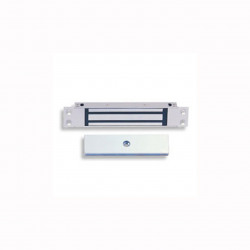 RCI Mortise Micromag 12/24vdc X 28