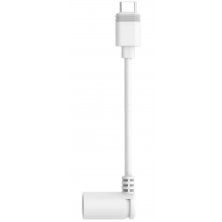 Ring Barrel Plug to USB-C Adapter, Barrel Plug Solar Panels/ USB-C Cameras Black