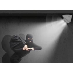 Foscam 5MP IP Turret Camera, PoE, Google, Alexa, AI Support