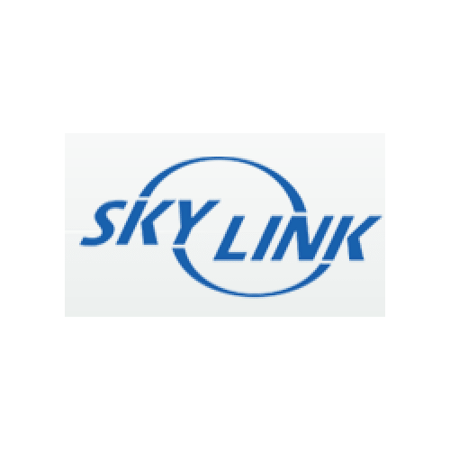 Skylink Wireless Alarm