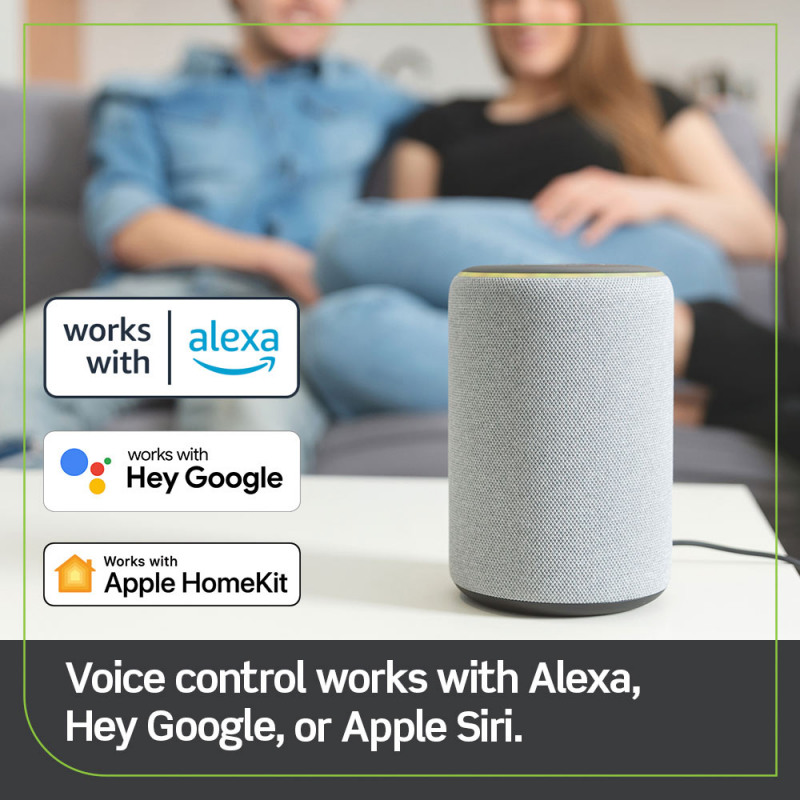 Leviton alexa sales
