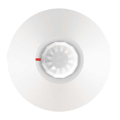 SDC 51UizDoxD8L._UF1000,1000_QL80_.jpg