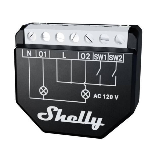 SHELLYWAVE2PMLRULcrop.jpg
