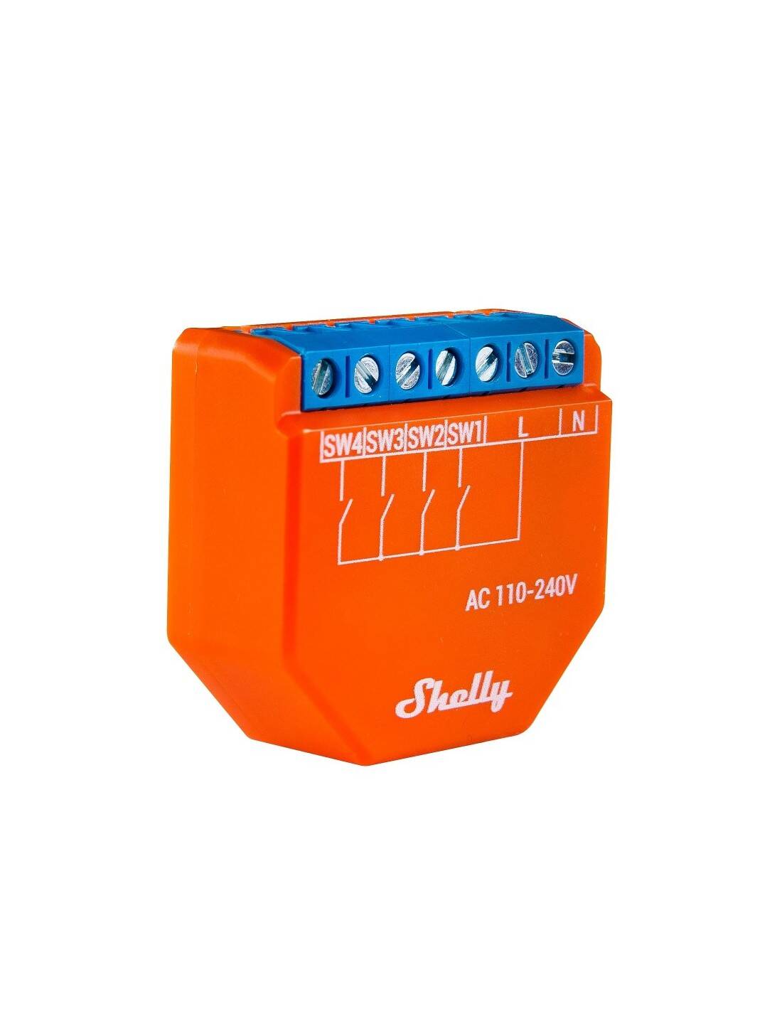 Shelly⑅ 51OwJ8VJHmL._UF894,1000_QL80_.jpg