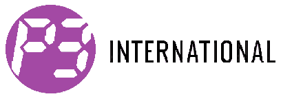 P3 International